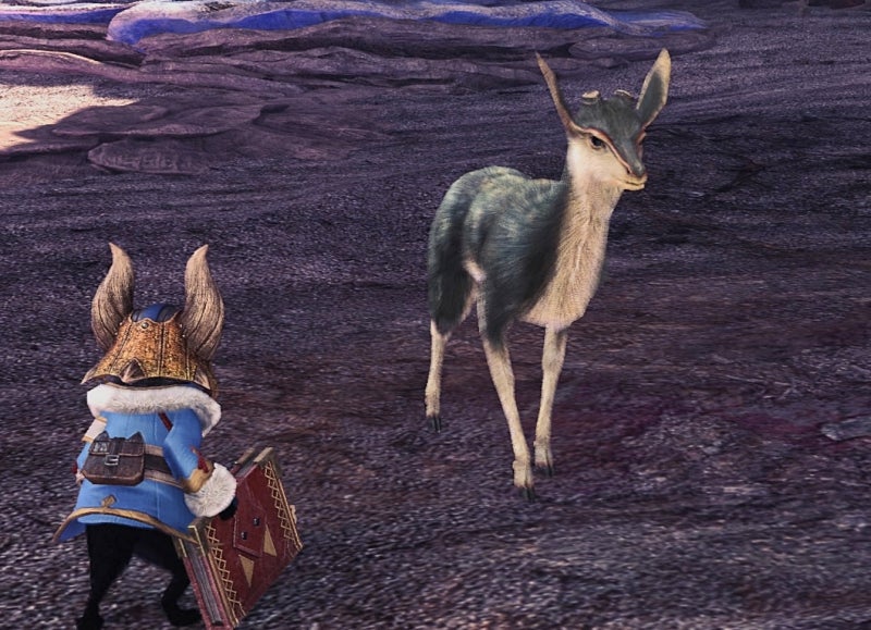 【モンハンライズ】暖かい毛皮の効率的な入手方法と使い道まとめ