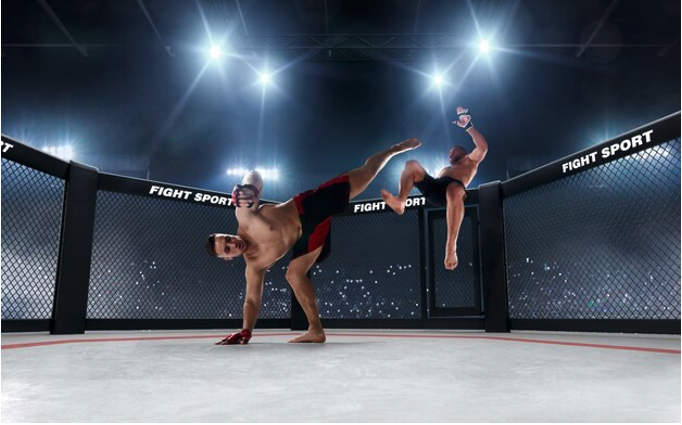 格闘技に含まれる競技はどれ？大きく分けて何種類あるのかも解説！