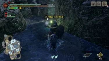 【モンハンライズ】『センテイガキ』の効率的な入手方法や場所・使い道まとめ